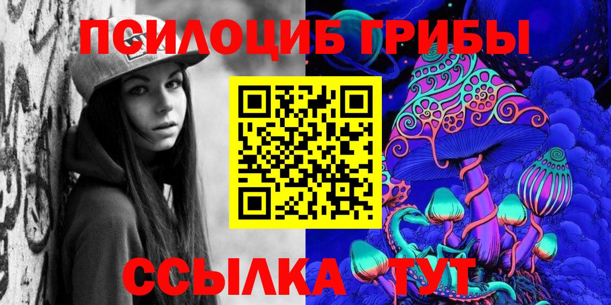 Лыткарино  Псилоцибиновые грибы Cubensis  Вход с VPN 