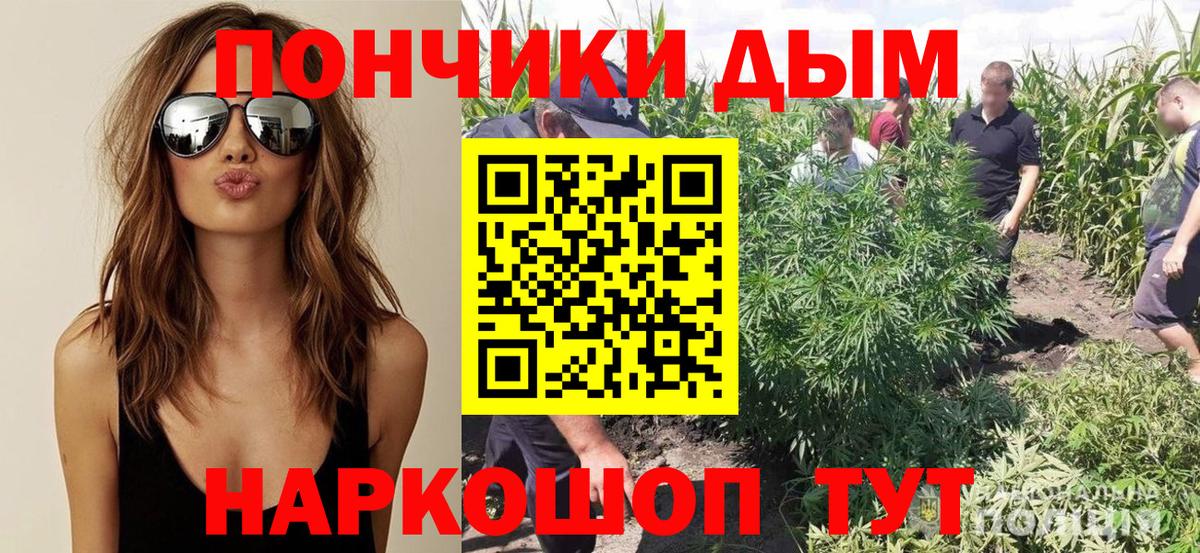 Канабис конопля Лыткарино